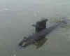 walrus7.jpg (6767 Byte)